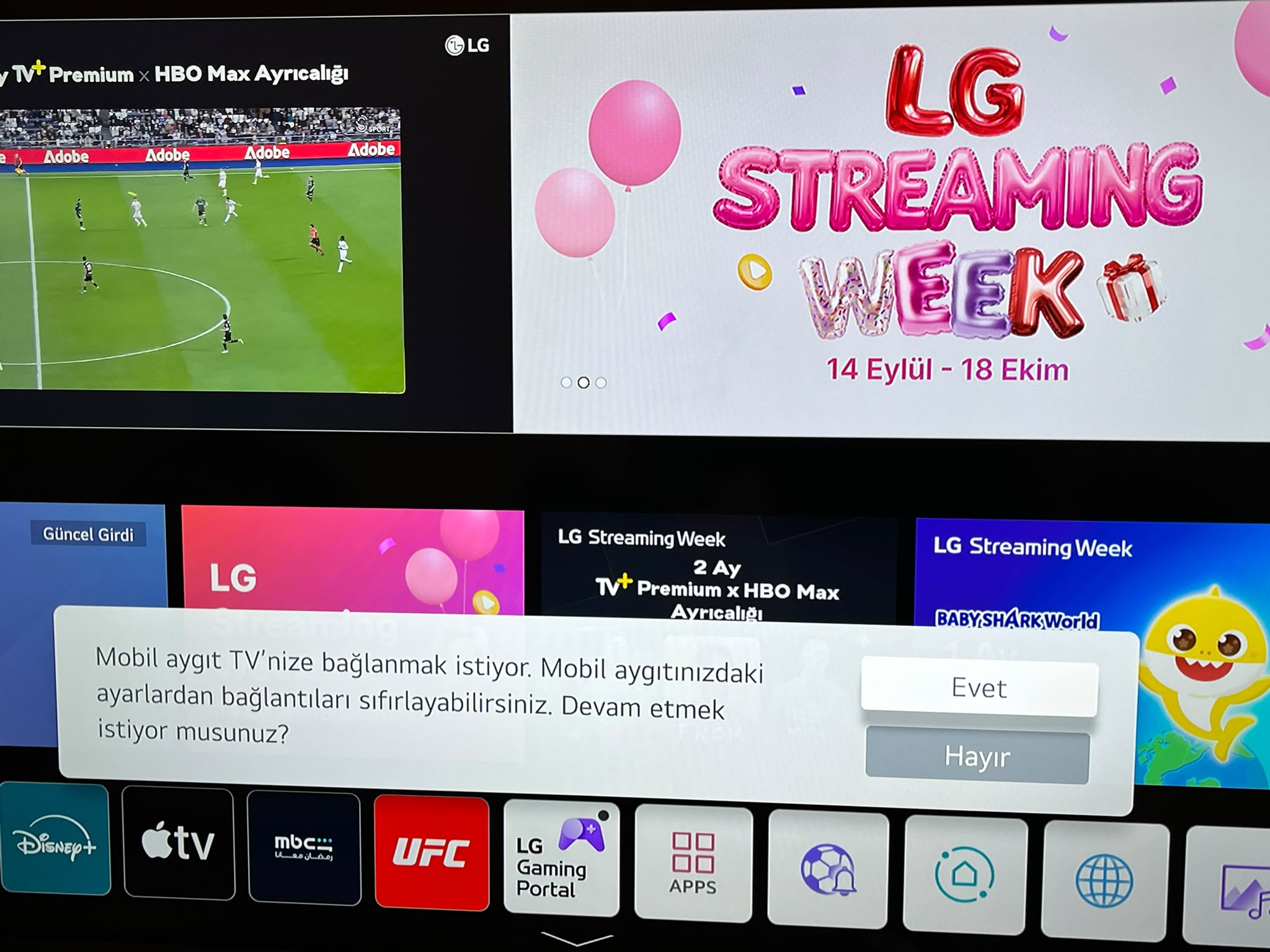 LG televizyon bağlantı onayı
